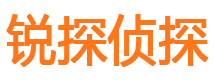 定海外遇调查取证